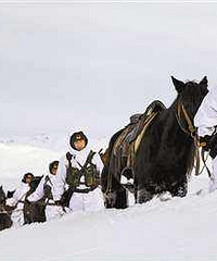 78�격ʿ�����ٺ���ҵ���ƣ�������������