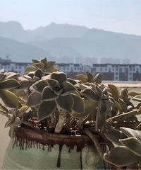 ����ҲҪ������Ӵ��