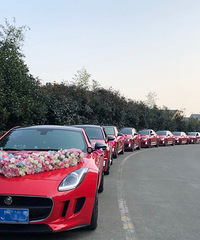 今天日子这么大!市政府被婚车队挤的水泄不通了!