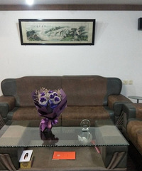 ԰��Է������������143ƽ���׷�����