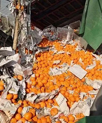 台州高速发生一起车祸!一地的橘子…吃货都快哭了