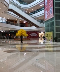 ��̩�������̫�̼� ������������