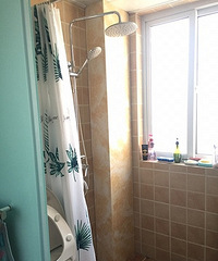 ���԰���ˮ�ܸ�����ֳɵĶ��� ˭֪����ɶ��