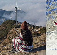 �������ķ����н������������֣��Ժ�������������