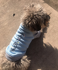 �����ˣ����æ������