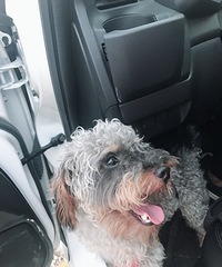 �����ˣ����æ������