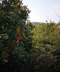 东连村/武坑/白岩山/雨花洞/童燎水库/东连村 环线穿行