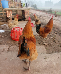 �������ͳһ������������˽�������