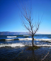 90�����GG183��������������10w+�����о���