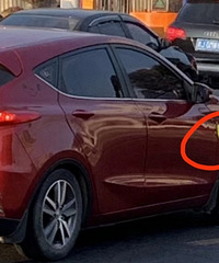 ���������ġ���������鿴��ɫ����ɫ����