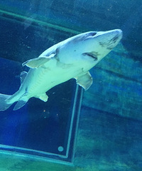 �������1�����г� �ҵ�����ι���