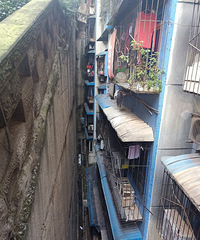 �����ķ���Ҳ�ǲ���� ��¥����������