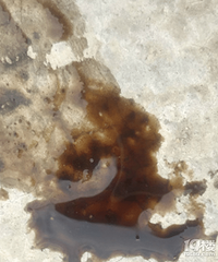 �������ӷ���©�ͣ����һ�´���������������