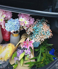 ��˵�����ҵĺ����������ģ���ô����أ�