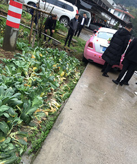 ��˹��˹���鳵��ӣ�����������