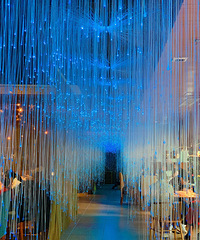 wanghong�ǿղ���