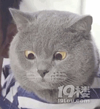 ��û��ô������������Խ���Լ��ĳ�Խ���ģ�