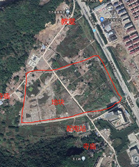 探访人气地块温岭神童门地块 周边一眼望去各种宗教场所