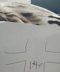 �������󣬱���᲻�ᱻ�ģ�