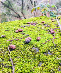 ���۸��᡿��Ƿ����¹��廹���ײС������ᡰ���̡�Խ��Խ����