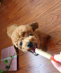 �г��������