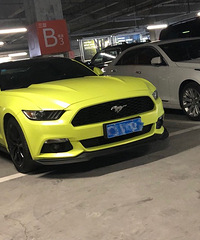 ���������ġ�Ұ����ɫ���ޣ���ɧ��