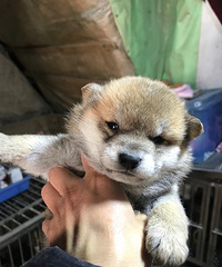 ������۾�Ʒ��Ȯ