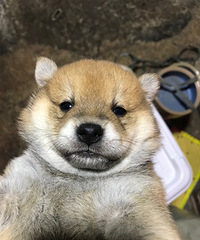 ������۾�Ʒ��Ȯ