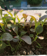 ���۸��᡿�������£���