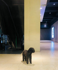 ˭�ҵĹ������� ��