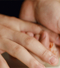 ��˾������Ϯ�����Թ��ݸ��Լ۱���˾��ʽ��½·�ţ�