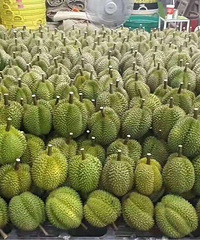 榴莲批发