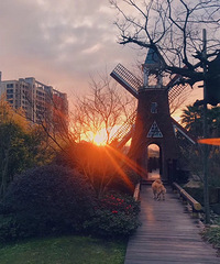 珍惜短暂的放晴和夕阳