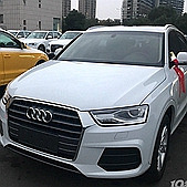 毫无理由地爱上了它