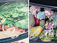 ��ɹ�����������������Ů�����ĺ����ﶼ��ɶ�󱦱���