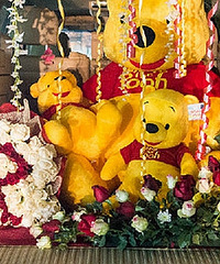 ��ɹ�����������������Ů�����ĺ����ﶼ��ɶ�󱦱���