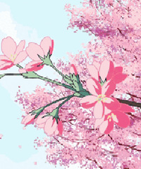 ��3�����׸�¥��ɹ���������㣬��ӭ�Ӵ�����