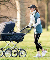 �������н�����Ҷ������ʲô���ӵ�Ӥ������