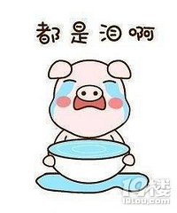 �����������ͣ����綯��һ��Ҫ����ȫͷ��