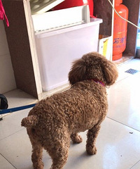 ����Ѱ����ʾ