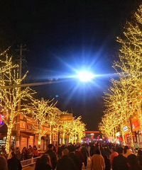 ����ʽ����Ϫ���¶��ƻᣬ�ǳ������Ҹ��ţ�ֵ��һȥ��