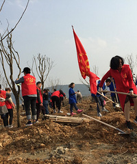 ӵ���������ഺ������������ֲ�̻�ˮ�ж�