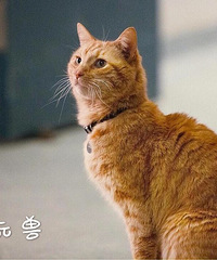 ����ӳ�����Ů�����ۡ���