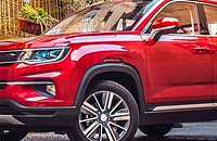 2019���������ɹ����