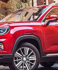 2019���������ɹ����