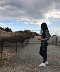 91�꽷��MM  ����166  ��������