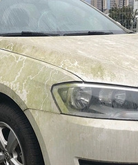 ���������ġ���һ�μ�����ù�ĳ�