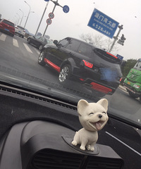 ���������ġ�����������ǵĺ����ɫ�ܸ��ԣ�