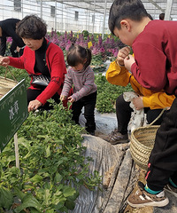 周末农场体验,感受天然美食