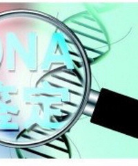 ���۸��᡿��Ǯ�˵����Ĳ��ǲ��Ƕ����صģ�